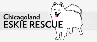 https://chicagolandeskierescue.com/