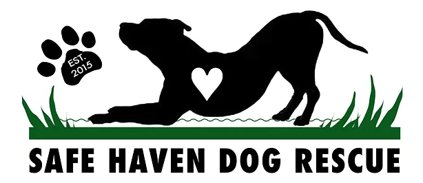 Safe Haven Dog Rescue