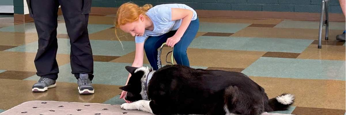 Youth training a dog.